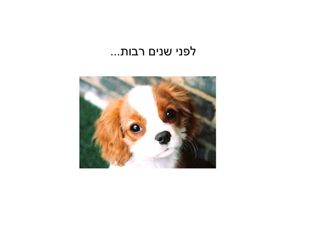 בדיקה by Yulia Sabah