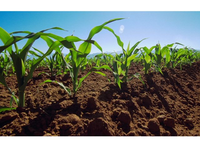 Juan, 4 años by Noelia Cava