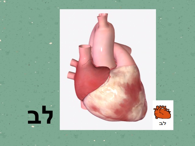 לב by Rotem Pinko