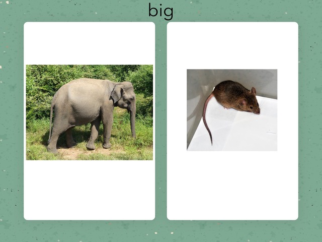 Big Or Small Free Games Online For Kids In Nursery By Danielle Stacy