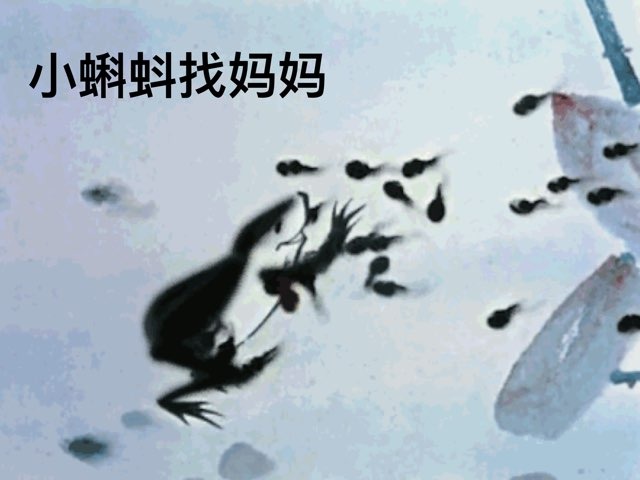 课文1《小蝌蚪找妈妈》 by Zoe Zou
