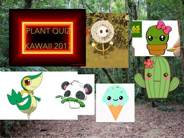 Pedro's Game by Terceiro Ano Pueri Digital Aclimação