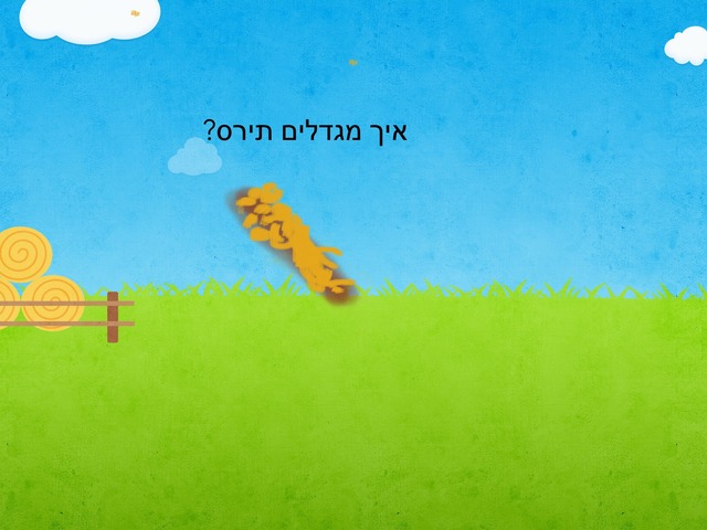 איך מגדלים תירס by Shimrit Gozlan