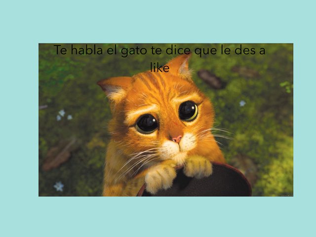 Gatos  by Iván Martin-borregon