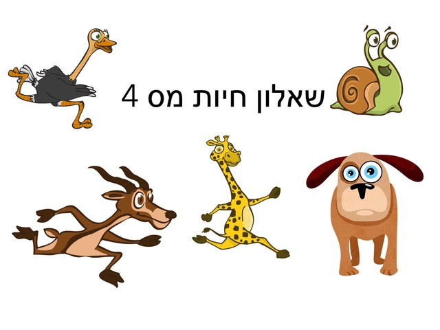 חיות מ׳ס 4 by Meital Avissar