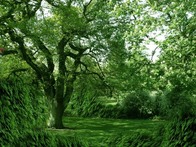 Solo 3 Oportunidades  by Margarita  Sánchez Castro