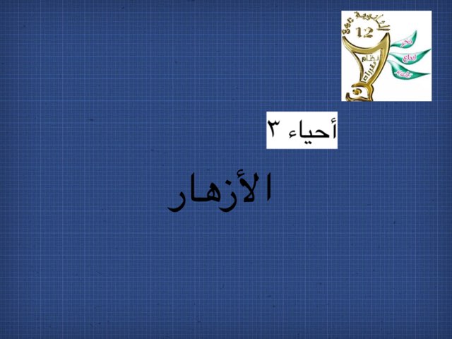 أحياء ٣  by Remas mahdi