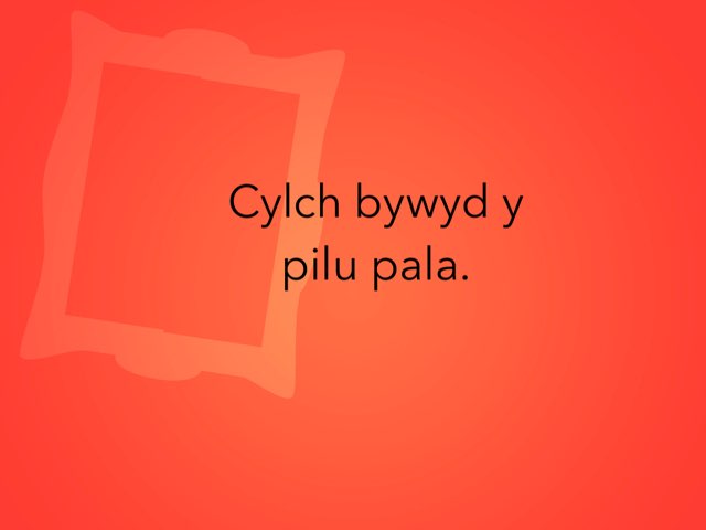 Cylch Bywyd Y Pili Pala Osian Ac Alex  by Heledd Owain