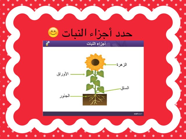 لعبة 14 by Abeer aAlmutairi