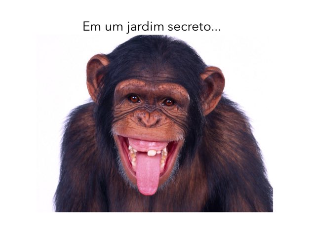 eee by projetos cvps