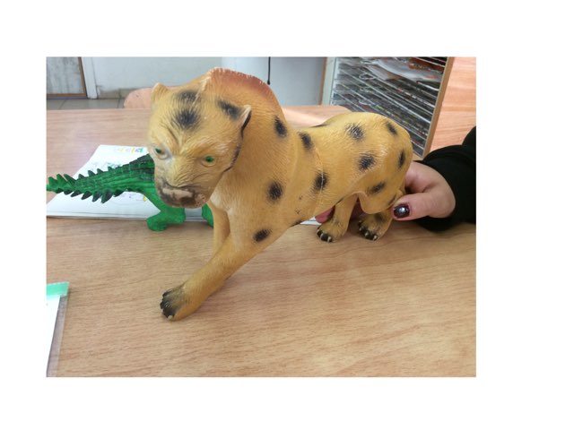 משחק 55 by Hila Calderon