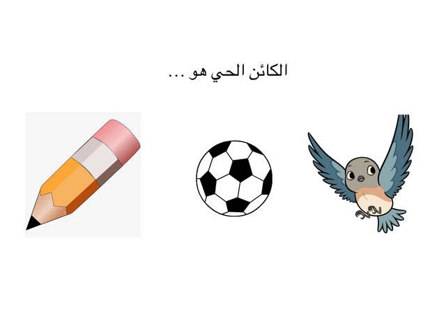 ما خصائص الإنسان ؟ by Bashora83 Alsubaie