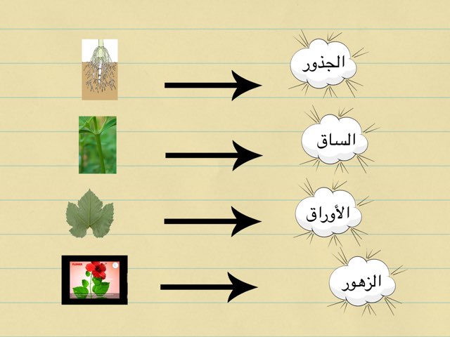 ألعاب فردية by Samiah Tr