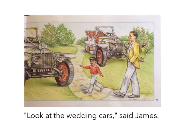 The Flower Girl by Teneille Dardis