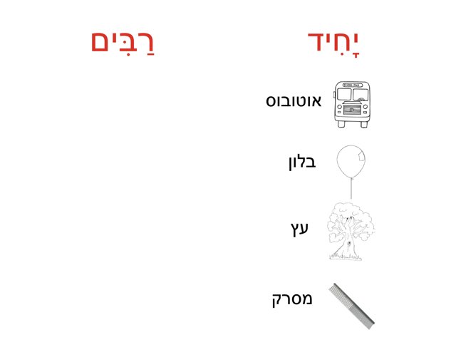 יחיד רבים כתיבה by צפנת הלוי