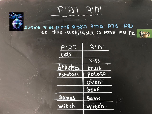 Singular Plural יחיד רבים by נהרה אפשטין