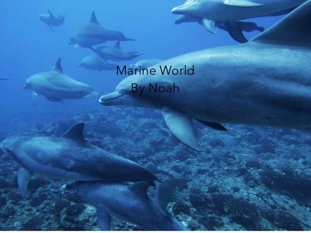 Ocean By Noah  by Morah Alex