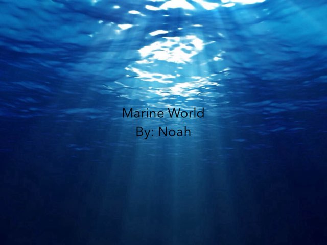 Ocean By Noah  by Morah Alex