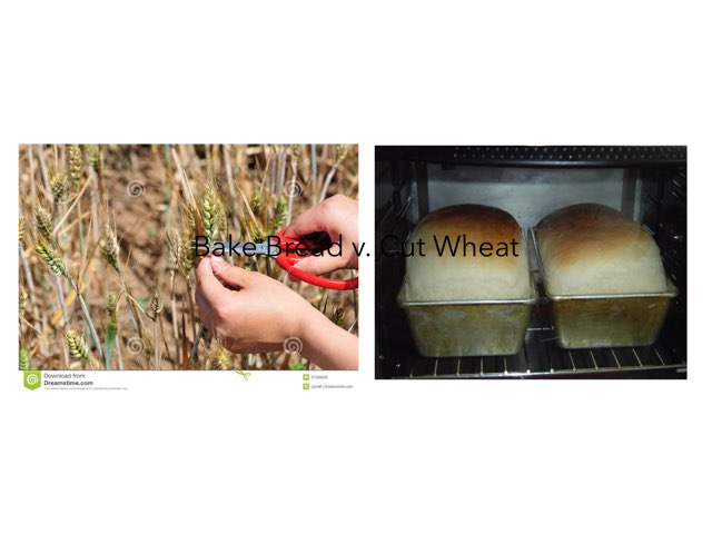 Little Red Hen by Lisa Crosby