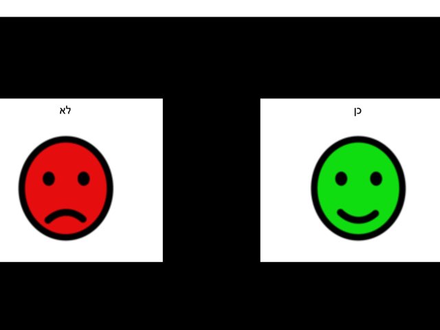 כן לא by Raz Tenenbaum