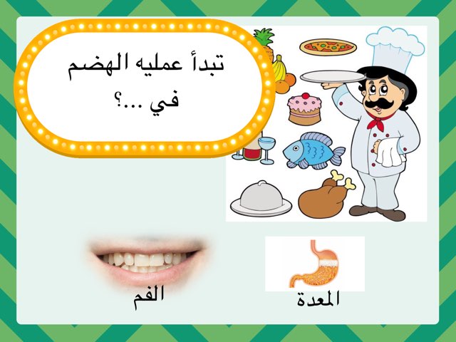 الجهاز الهضمي ١ by Eisa Almutairi