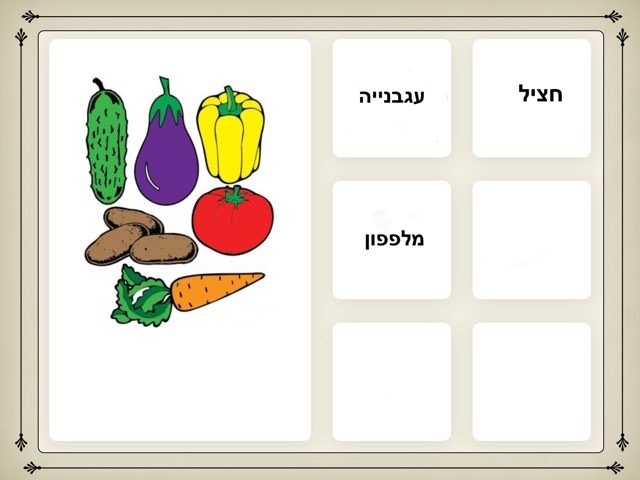 גן ירק by כיתה מית״ל