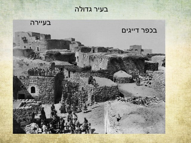 שאלות על הספר האלמנה והרוח by Robin Elbaz