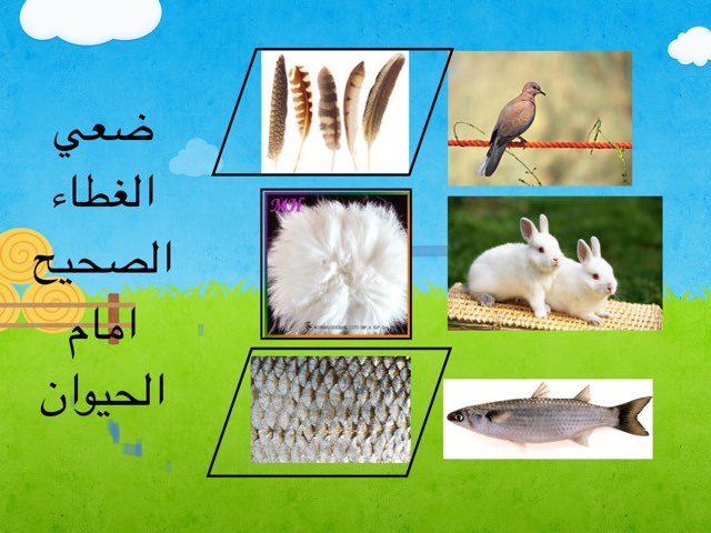 لعبة 34 by Abla Nooof