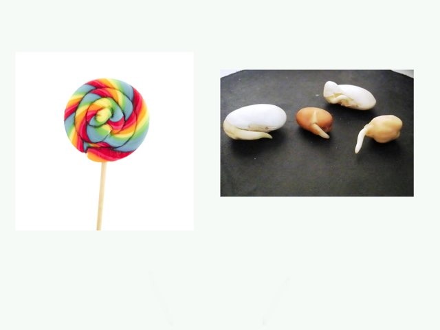 גינון שיעור 2 by Hadasim alut