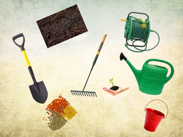 זיהוי- מושגים בגינה by רים ברברה