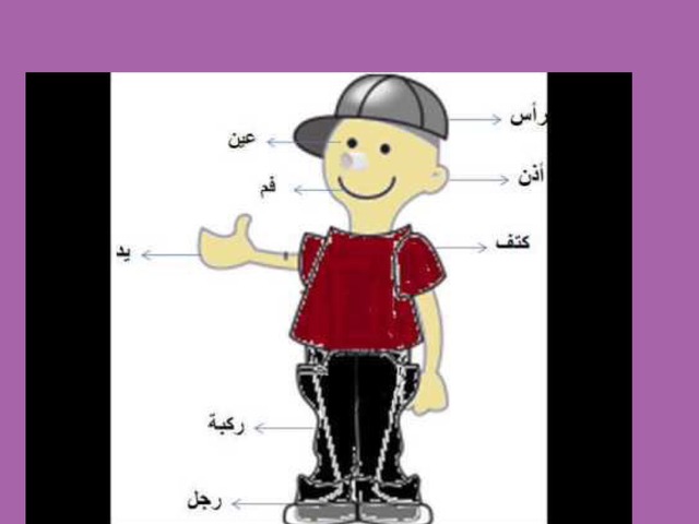  التعرف عل أعضاء الجسم  by zena altore
