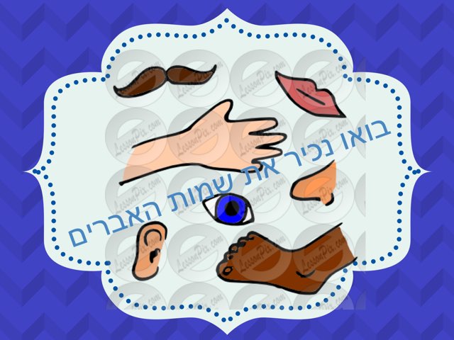 בואו נכיר את האברים by יערה מלאכי