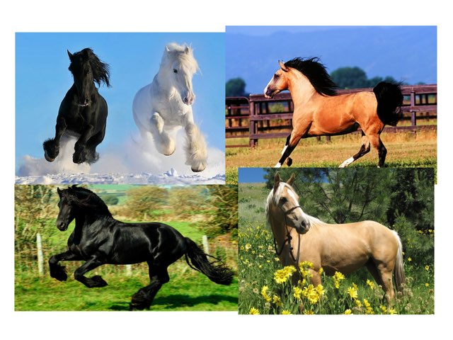 Fghtyftjykfkr by Belén Zarco