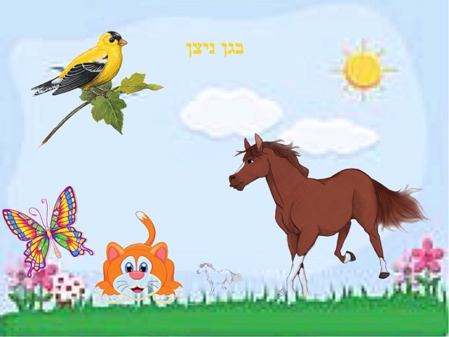 שירי חיות by Hagar Lederman