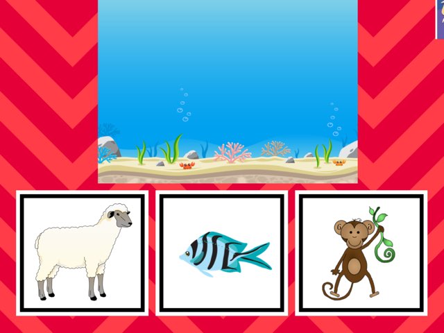 لعبة 29 by Sadeem yam