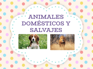 ANIMALES DOMÉSTICOS Y SALVAJES by Giovanna Erika Umasi Llaique