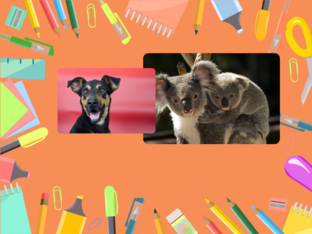 ANIMALES by Beatriz Horcajada Garrido
