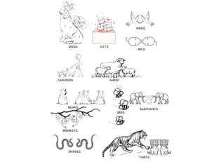 ANIMALS 2. RAZRED by HelenA Osojnik