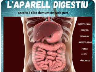 APARELL DIGESTIU by Natàlia Boada