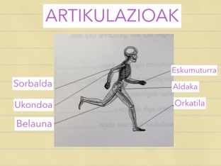 ARTIKULAZIOAK by Endika Bedia