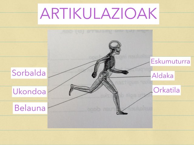 ARTIKULAZIOAK by Endika Bedia