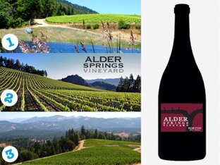 ASV TEST by Marsella Charron