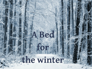 A bed for the winter  by Maha Karouani