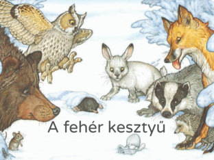 A fehér kesztyű by Anna Etter