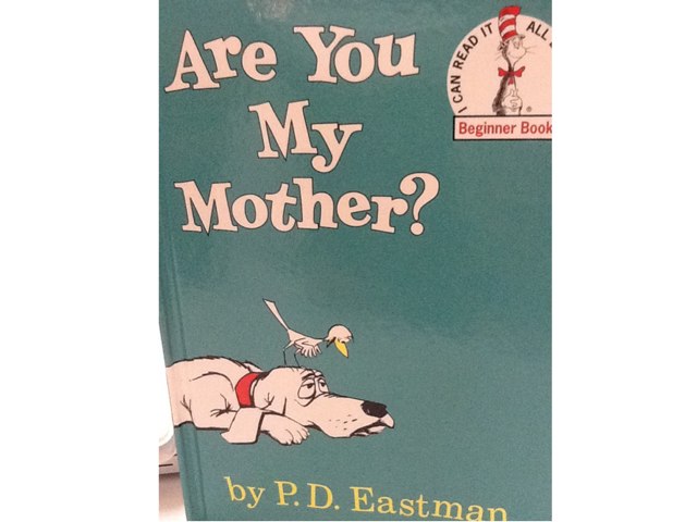 Access Conf Are You My Mother? by Noelle Teubert