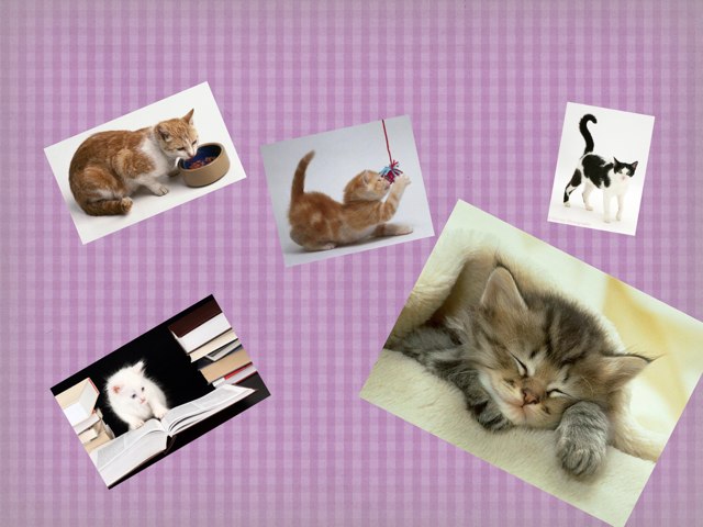 Action Words by Michelle Moyal