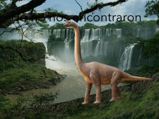 Adivinaciones by Ariadna Aguirre