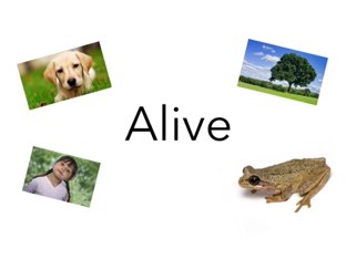 Alive, Dead And Never Been Alive by Pippa nixon