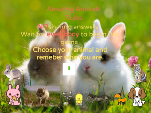 Amazing Animals (Copy) by Tracey Tomaro