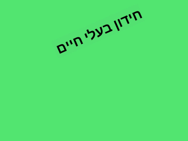 משחק 1 by משה פורת